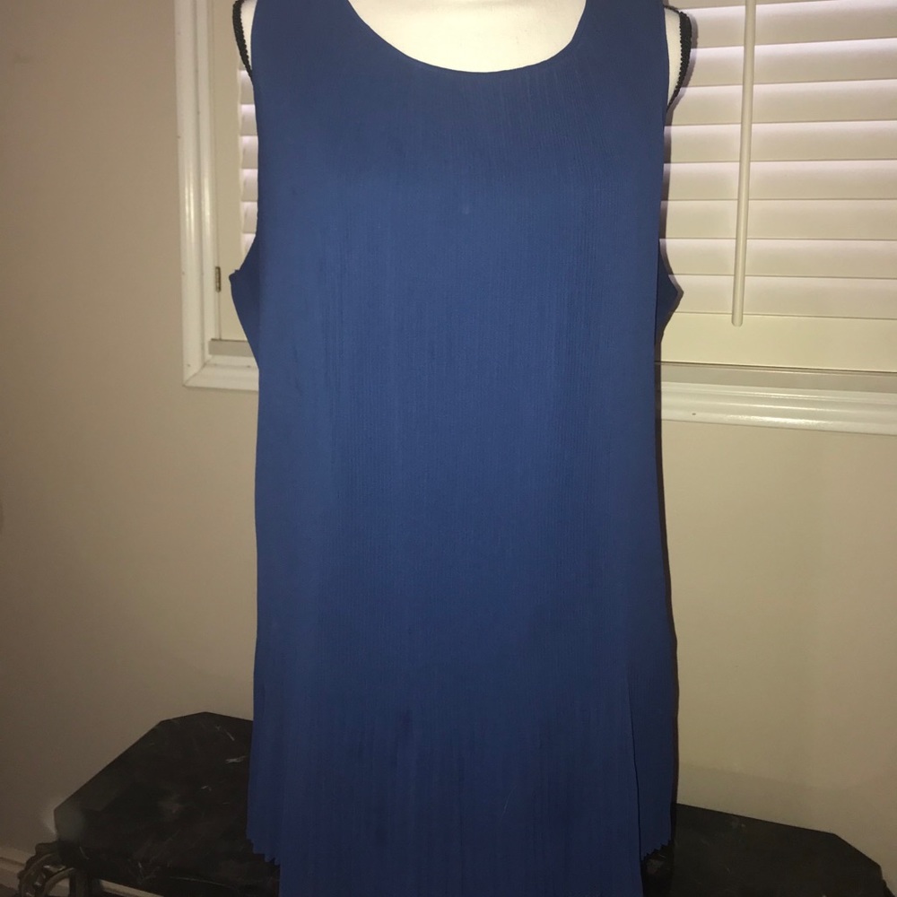 NWOT ROZ & ALI/Long Blue Blouse